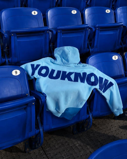 Big Back Hoodie | Light Blue